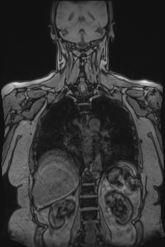 image 36