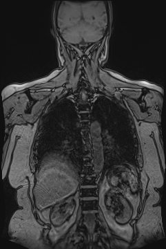 image 41