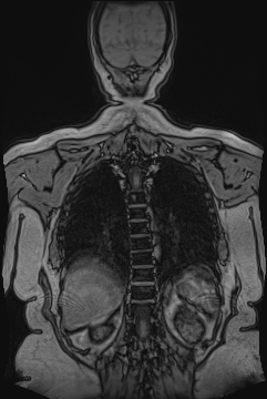 image 50